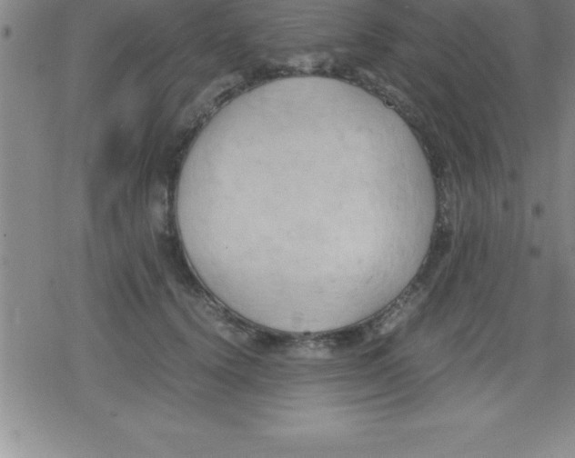 X0000079340656200612151909