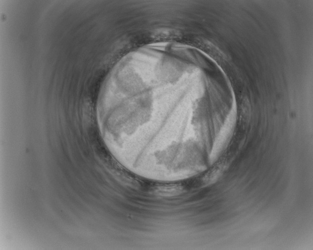 X0000079340659200612151909