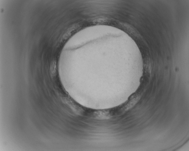 X0000079340660200612151909