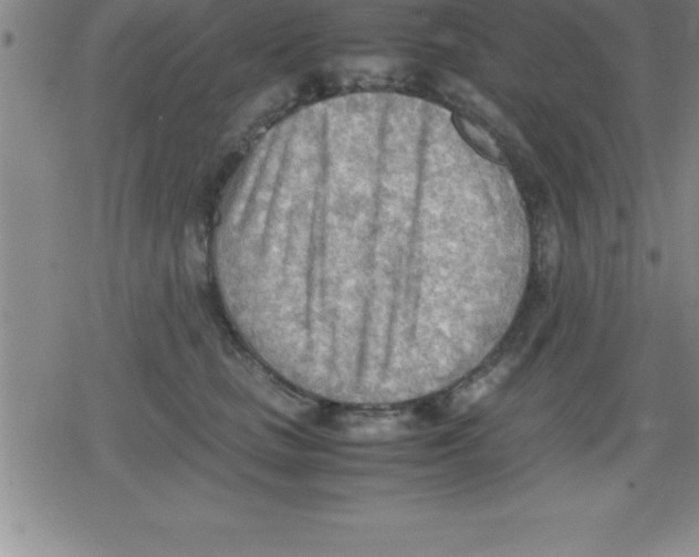 X0000079340661200612151909