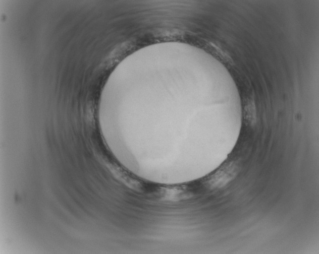 X0000079340662200612151909