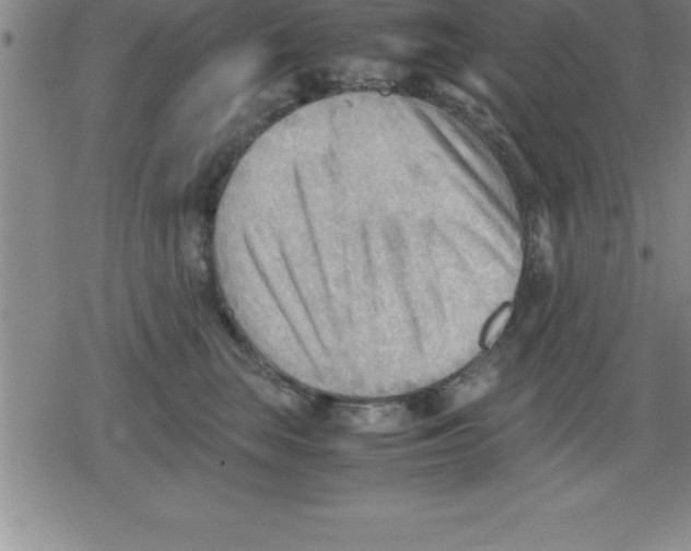 X0000079340663200612151909