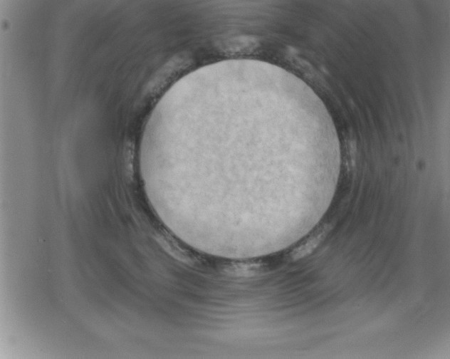 X0000079340664200612151909