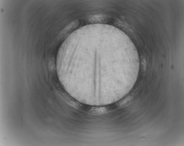 X0000079340665200612151909