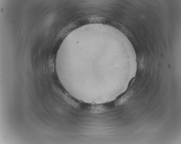 X0000079340666200612151909