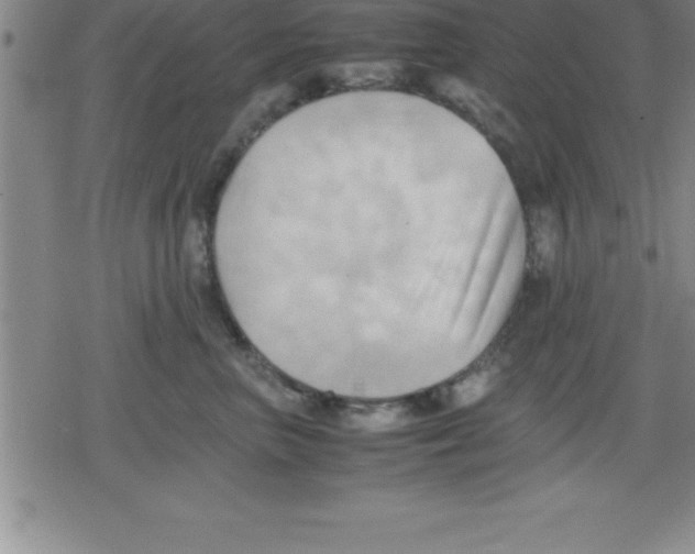 X0000079340667200612151909