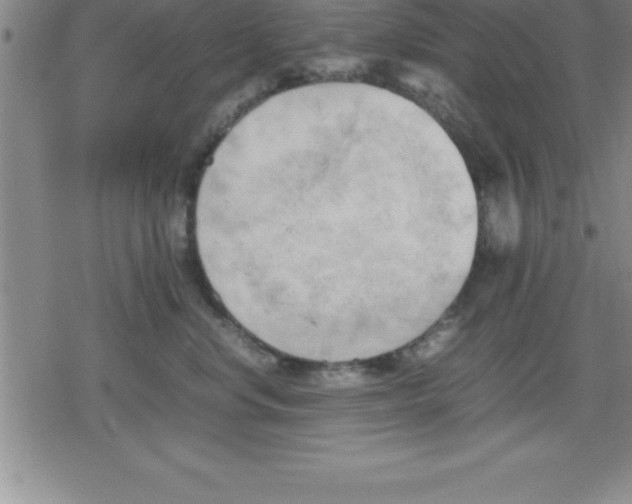 X0000079340668200612151909