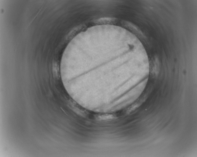 X0000079340669200612151909