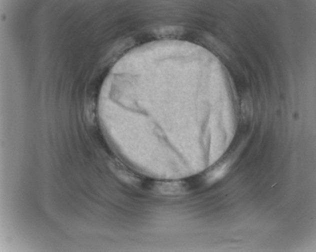 X0000079340671200612151909