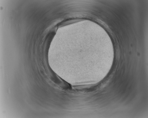 X0000079340673200612151908