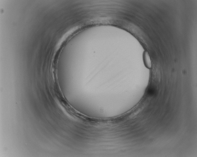 X0000079340674200612151908