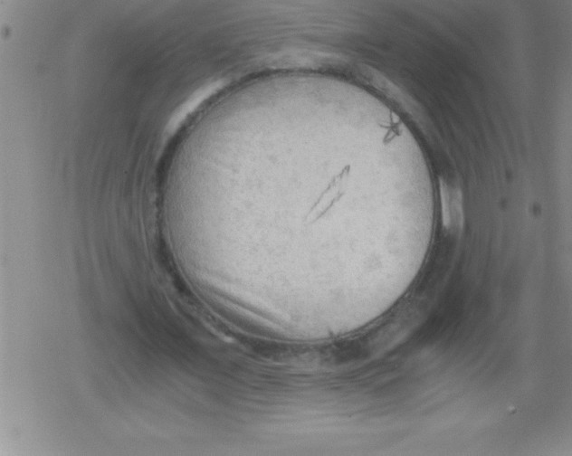 X0000079340675200612151908