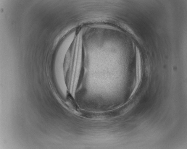 X0000079340677200612151908