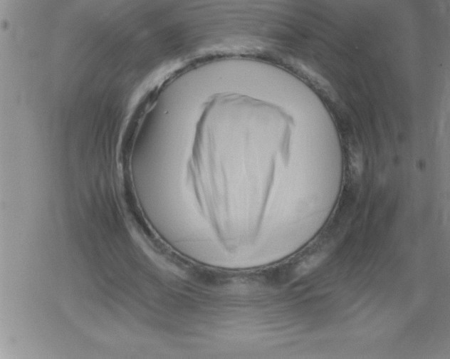 X0000079340678200612151908