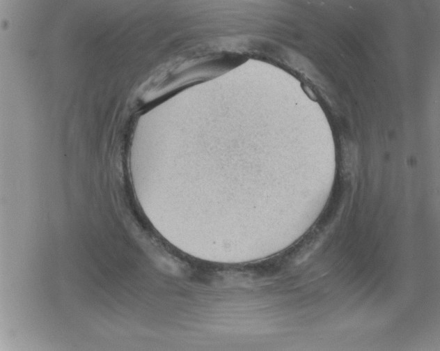 X0000079340681200612151908