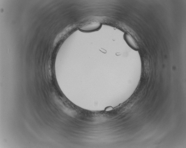 X0000079340682200612151908