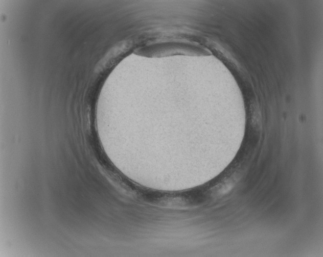 X0000079340685200612151908