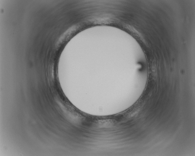 X0000079340686200612151908