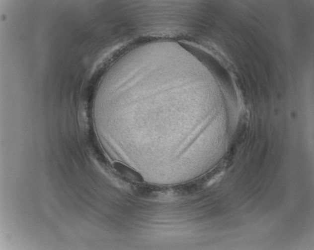 X0000079340688200612151908