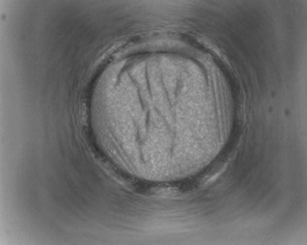 X0000079340689200612151908