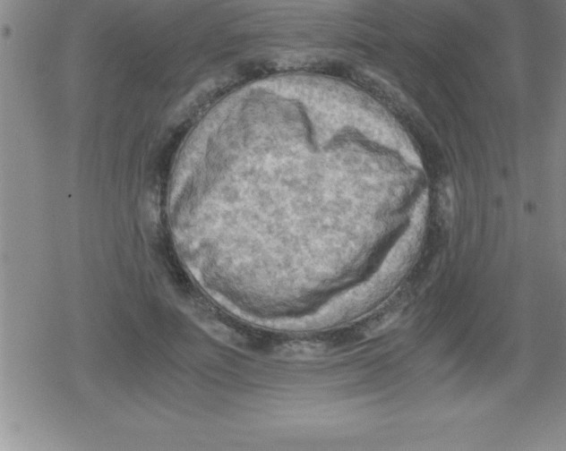 X0000079340691200612151908