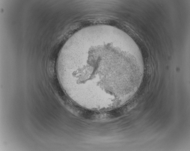 X0000079340695200612151908