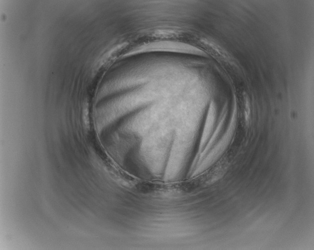 X0000079340696200612151908