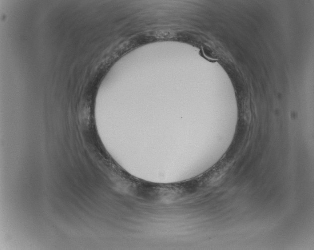 X0000079340697200612151908