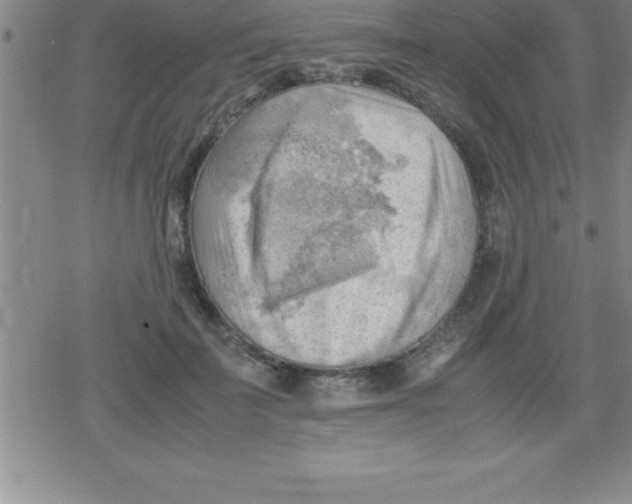 X0000079340699200612151908