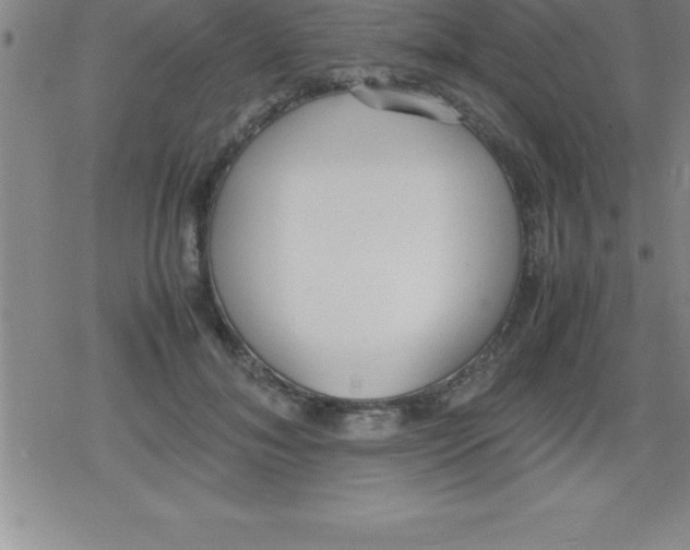 X0000079340700200612151908