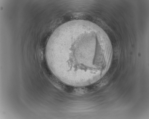 X0000079340703200612151908