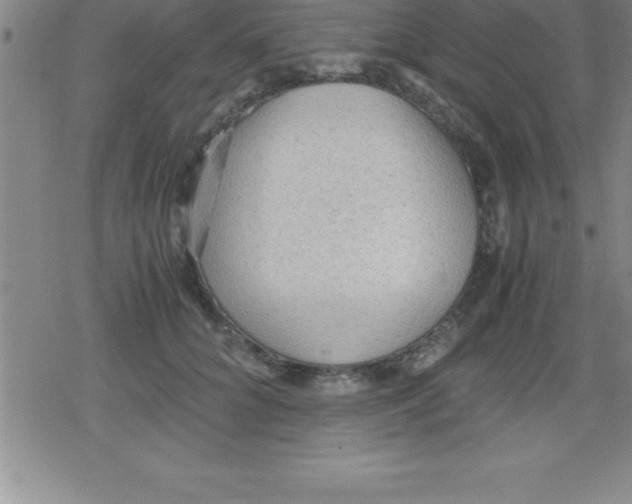 X0000079340704200612151908