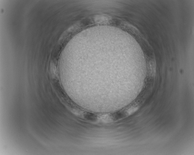 X0000079340705200612151908