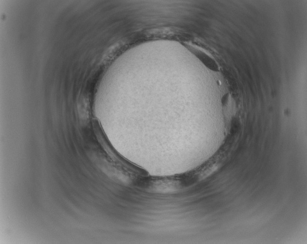 X0000079340708200612151908