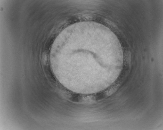 X0000079340709200612151908