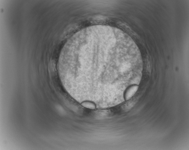 X0000079340711200612151908