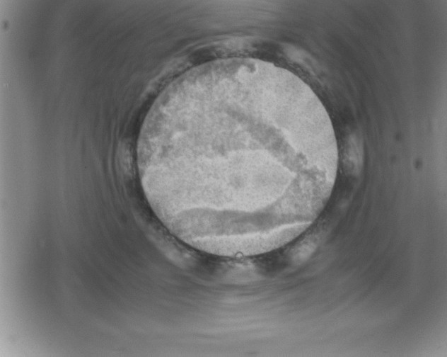 X0000079340715200612151908