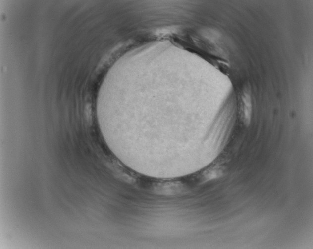 X0000079340716200612151908