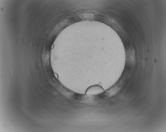 X0000079340717200612151908