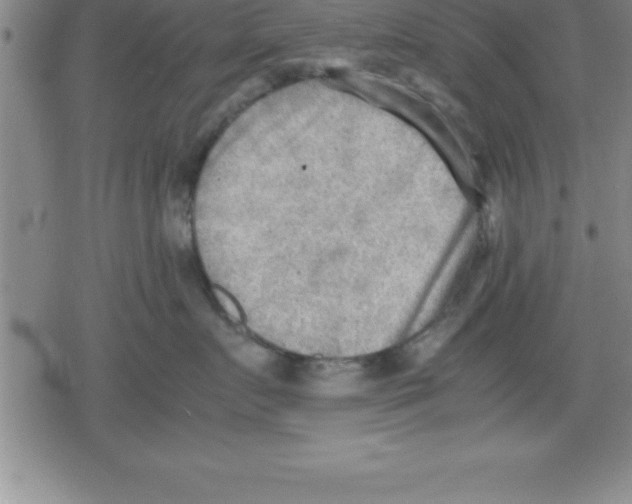 X0000079340719200612151908