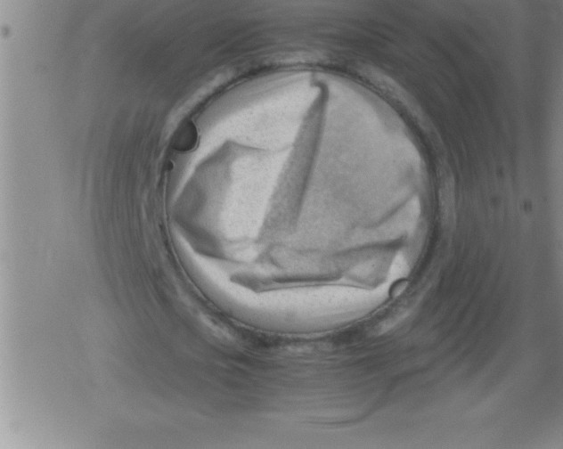 X0000079340721200612151907