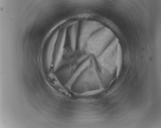 X0000079340722200612151907