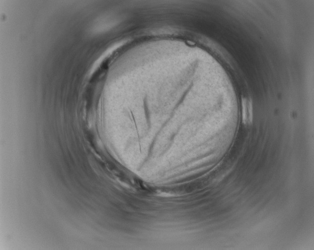 X0000079340723200612151907