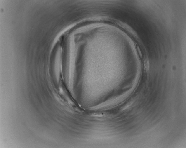 X0000079340724200612151907