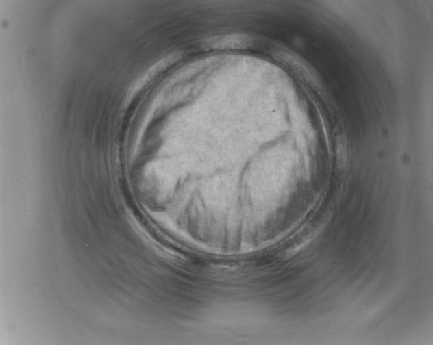 X0000079340725200612151907