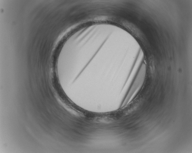 X0000079340728200612151907