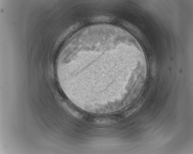 X0000079340729200612151907