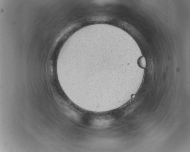 X0000079340731200612151907