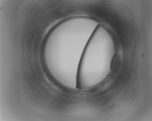 X0000079340732200612151907