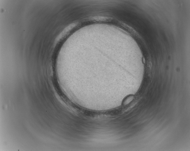 X0000079340734200612151907